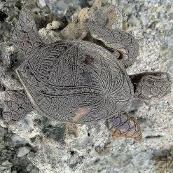 Unbranded Hawaiian Turtle Statue Hand-carved Simulation Animal Resin Ornament For Home Garden -Piha myymälä 513955027 max