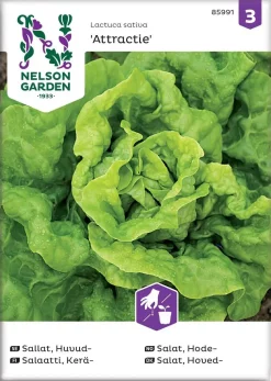 Nelson Garden Siemen Salaatti, Kerä-, Attractie