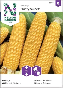 Nelson Garden Siemen Maissi, Sokeri-, Tasty Sweet F2