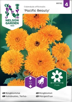 Nelson Garden Siemen Kehäkukka, Tarha-, Pacific Beauty