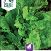 Nelson Garden Siemen Salaatti, Lehti-, Australialainen -Piha myymälä 5PgwmHZP4dCAlJeCBtLJ4i