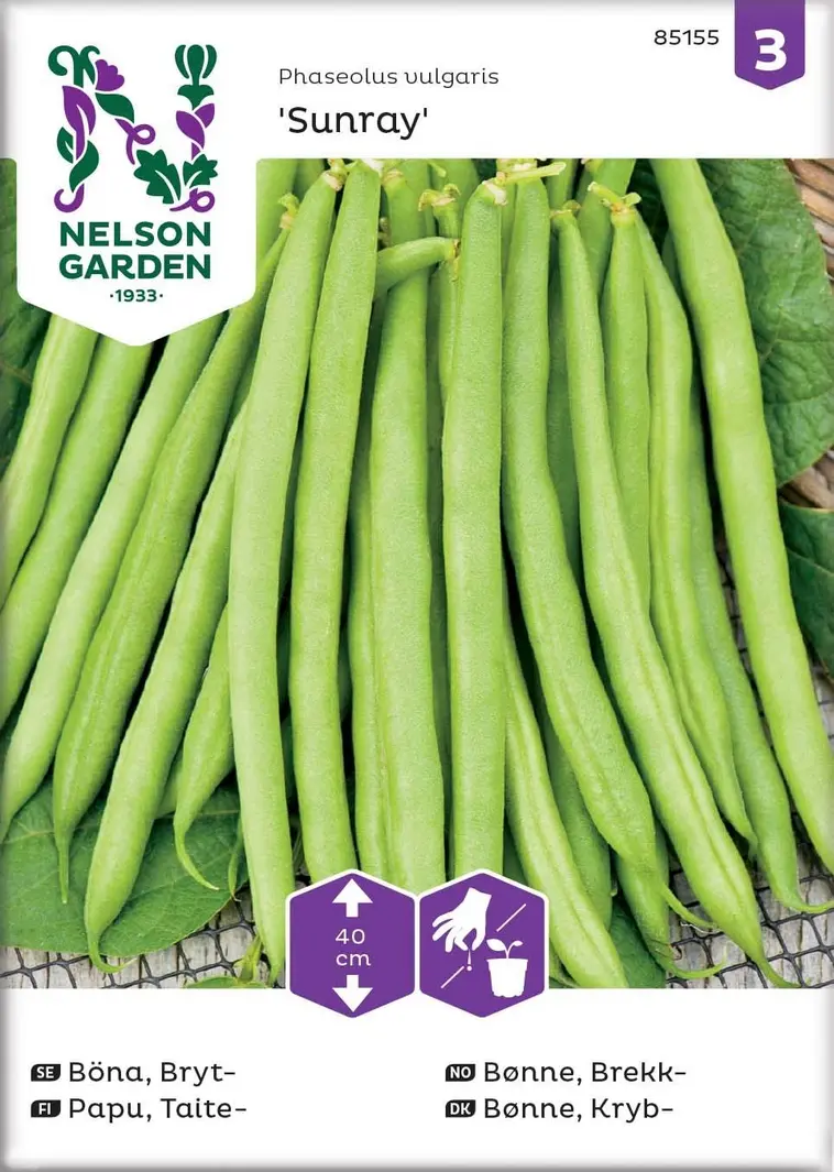 Nelson Garden Siemen Papu, Taite-, Sunray 3 Nelson Garden Siemen Papu, Taite-, Sunray