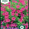Nelson Garden Siemen Petunia,Tarha-,Showers Burgundy -Piha myymälä 5T80Iolv4qFB qf Jg05lT
