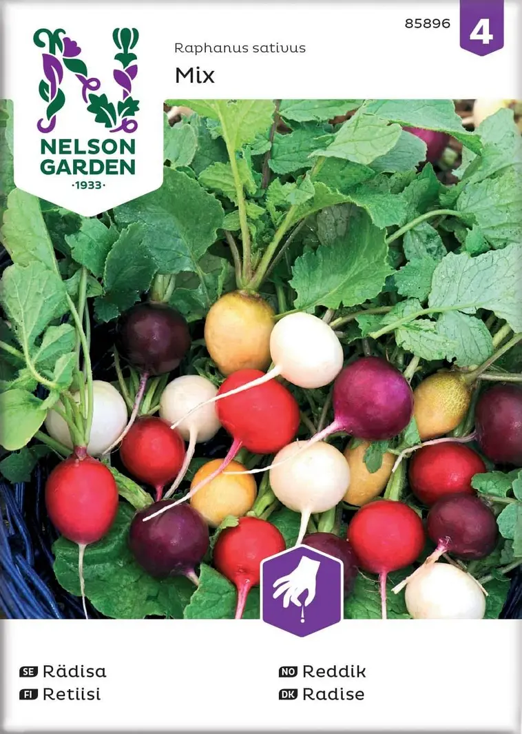Nelson Garden Siemen Retiisi,seos, Purp. Pink, Albena, Zlata 3 Nelson Garden Siemen Retiisi,seos, Purp. Pink, Albena, Zlata