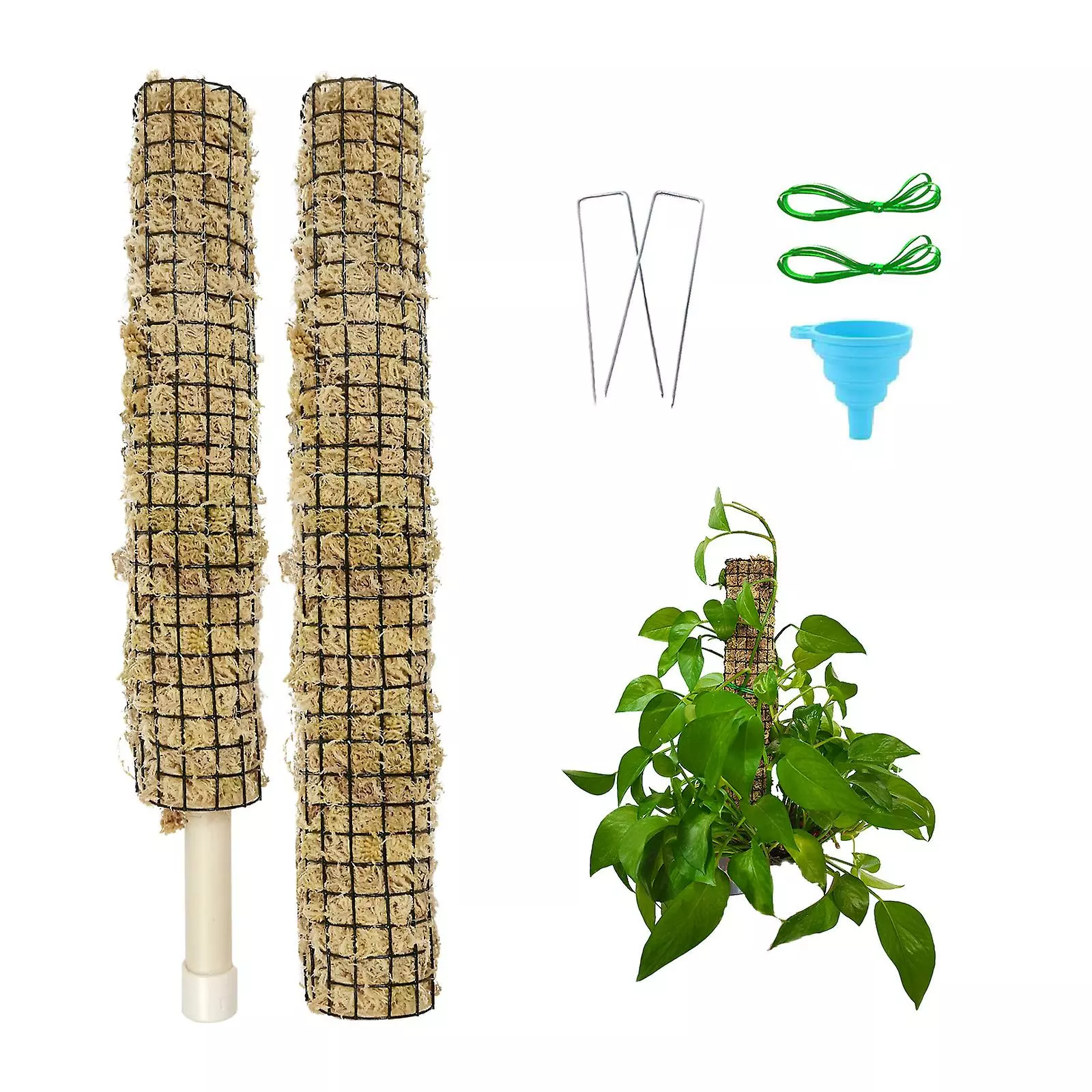 Unbranded Tortoise Backed Bamboo Garden Splicing Plant Climbing Moss Stick Portable Durable Green Pineapple Support Rod 5 Unbranded Tortoise Backed Bamboo Garden Splicing Plant Climbing Moss Stick Portable Durable Green Pineapple Support Rod - Image 3