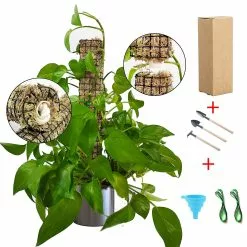 Unbranded Tortoise Backed Bamboo Garden Splicing Plant Climbing Moss Stick Portable Durable Green Pineapple Support Rod
