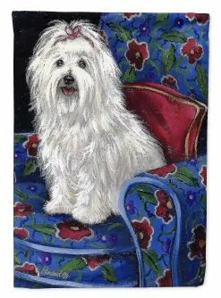 Windsocks Carolines Treasures Ppp3079gf Coton De Tulear Royalty Flag Garden Size