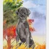 Windsocks Carolines Treasures Ck1957gf Fall Black Labrador Retriever Flag Garden Size -Piha myymälä 623414072 max