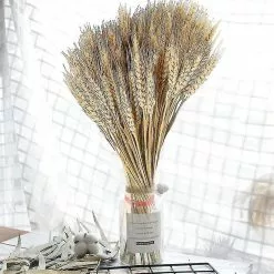 Unbranded 50pcs Wheat Ears Dried Flowers Garden Plants Natural Primary Colors Mimenor -Piha myymälä 628594484 max