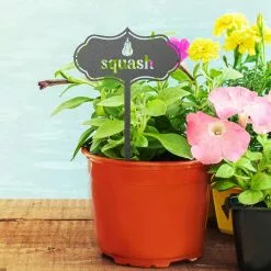 Garden Sculptures Metal Seed And Plant Markers Indoor Outdoor Seed And Plant Garden Stakes Stylish Fruit And Vegetable Seed Tags Durable Plant Labels For Pots -Piha myymälä 641466706 max