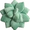 Kensty 3d Succulents Cactus Pillow, Cute Succulents, For Garden Or Green Lovers Baby Green Plant Throw Pillows,25cm -Piha myymälä 641529946 max 1