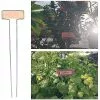 Unbranded 20pcs Metal Plant Labels Garden Plant Sign Tags T-type Stake Tags Identify Stick For Vegetables Herb Flower Garden Plant Label -Piha myymälä 643358855 max
