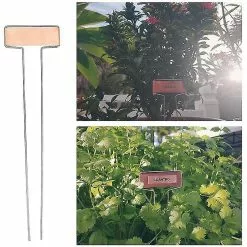Unbranded 20pcs Metal Plant Labels Garden Plant Sign Tags T-type Stake Tags Identify Stick For Vegetables Herb Flower Garden Plant Label