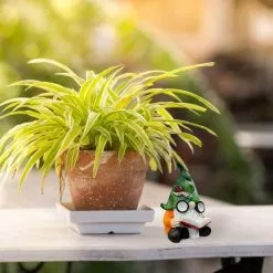 Unbranded Solar Light Statue Resin Gnome Crafts Ornaments Garden Decoration Gnome Reading Resin Crafts Ornamen 10 Unbranded Solar Light Statue Resin Gnome Crafts Ornaments Garden Decoration Gnome Reading Resin Crafts Ornamen -Piha myymälä 643398476 max