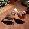 Unbranded 2 Pcs, Wild Bird Collection, Life-like Colouring, Garden Outdoor Ornaments Decor Gift -Piha myymälä 643400948 max