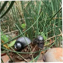 Unbranded Snail Statue Animal Statue Decoration Garden Ornaments Variation Snail Alien Innovative Interesting Garden Snail Statue For Garden Courtyard Yard Lawn -Piha myymälä 644587963 max