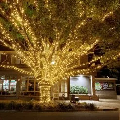 YT [2 Pack] Solar String Lights Outdoor, 12m 100 Led Waterproof Outdoor Solar String Lights 8 Modes Decoration Light For Garden, Patio, Yard, Home, Chris -Piha myymälä 645029872 max