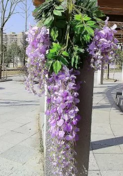 Unbranded 12pcs Artificial Fake Wisteria Vine Garland-greendec 3.6ft/piece Silk Wisteria Vine Ratta Hanging Flower For Home Garden Wedding Decor Purple Red -Piha myymälä 669059893 max