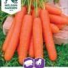 Nelson Garden Siemen Porkkana, Nantaise 2, Kylvönauha 1 Nelson Garden Siemen Porkkana, Nantaise 2, Kylvönauha -Piha myymälä 67MuDrv3aRABfic5ihEz A
