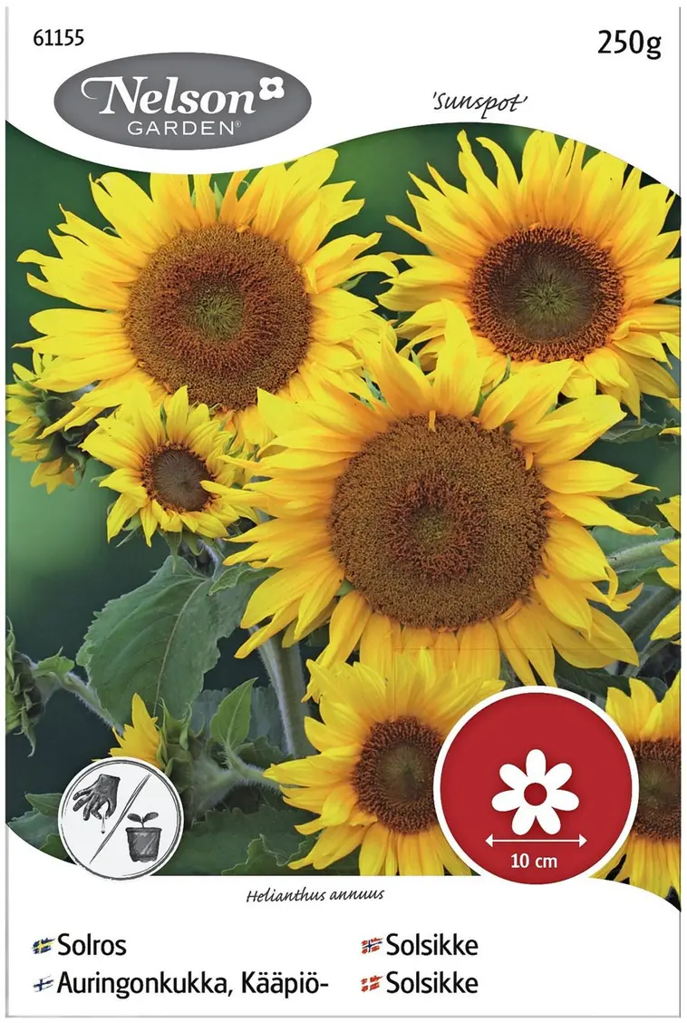 Nelson Garden Siemen Auringonkukka Matala, Sunspot 250 G 3 Nelson Garden Siemen Auringonkukka Matala, Sunspot 250 G