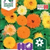 Nelson Garden Siemen Kehäkukka, Tarha-, Fiesta Gitana -Piha myymälä 6kCG1wNKqEl97vOYD0gC9z
