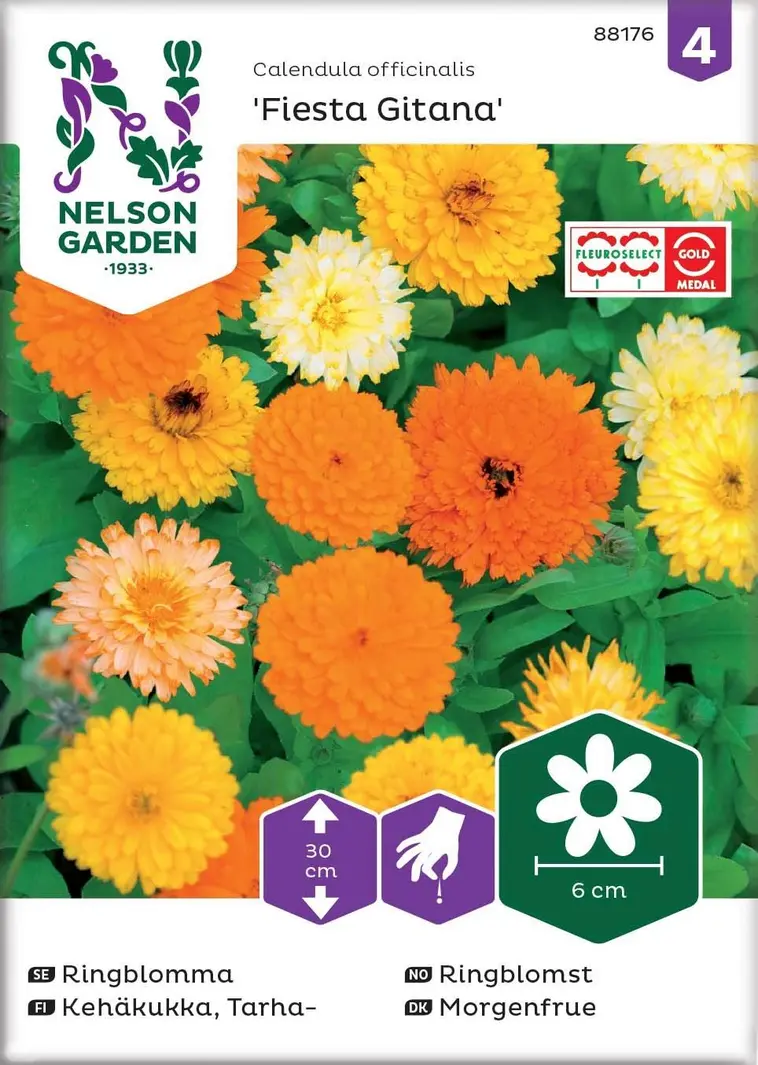 Nelson Garden Siemen Kehäkukka, Tarha-, Fiesta Gitana 3 Nelson Garden Siemen Kehäkukka, Tarha-, Fiesta Gitana