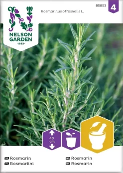 Nelson Garden Siemen Rosmariini