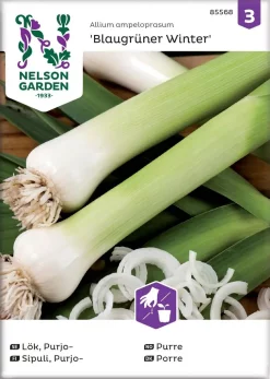 Nelson Garden Siemen Sipuli, Purjo-, Blaugrüner Winter