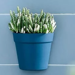 Unbranded Set Of 2 Plastic Wall Planter Pots For Indoor Outdoor Garden Balcony Cream White Blue 9 Unbranded Set Of 2 Plastic Wall Planter Pots For Indoor Outdoor Garden Balcony Cream White Blue -Piha myymälä 718222790 max