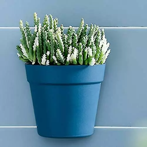 Unbranded Set Of 2 Plastic Wall Planter Pots For Indoor Outdoor Garden Balcony Cream White Blue 5 Unbranded Set Of 2 Plastic Wall Planter Pots For Indoor Outdoor Garden Balcony Cream White Blue - Image 3