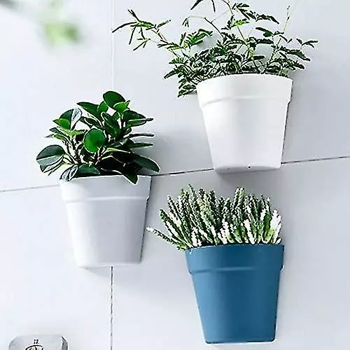 Unbranded Set Of 2 Plastic Wall Planter Pots For Indoor Outdoor Garden Balcony Cream White Blue 6 Unbranded Set Of 2 Plastic Wall Planter Pots For Indoor Outdoor Garden Balcony Cream White Blue - Image 4