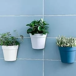 Unbranded Set Of 2 Plastic Wall Planter Pots For Indoor Outdoor Garden Balcony Cream White Blue 11 Unbranded Set Of 2 Plastic Wall Planter Pots For Indoor Outdoor Garden Balcony Cream White Blue -Piha myymälä 718223204 max