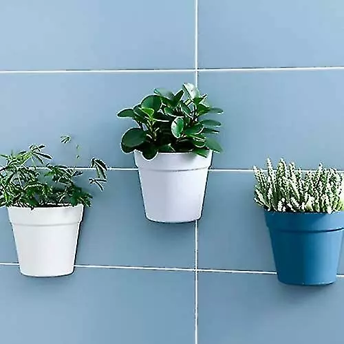 Unbranded Set Of 2 Plastic Wall Planter Pots For Indoor Outdoor Garden Balcony Cream White Blue 7 Unbranded Set Of 2 Plastic Wall Planter Pots For Indoor Outdoor Garden Balcony Cream White Blue - Image 5