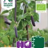 Nelson Garden Siemen Herne, Silpo-, Blauwschokker, Luomu -Piha myymälä 78tWBgjpqV9BAVF9SoPEuG
