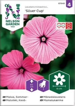 Nelson Garden Siemen Malvikki, Kesä-, Silver Cup