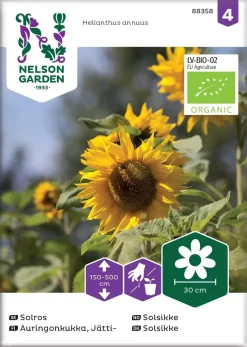 Nelson Garden Siemen Auringonkukka, Jätti-, Luomu