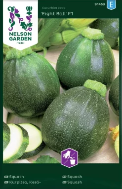 Nelson Garden Siemen Kurpitsa, Kesä-, Eight Ball F1
