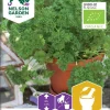 Nelson Garden Siemen Persilja, Grüne Perle, Luomu 2 Nelson Garden Siemen Persilja, Grüne Perle, Luomu -Piha myymälä 7qFTvtPPqFZ95QkeauznvO