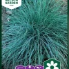 Nelson Garden Siemen Koristeruoho, Sininata -Piha myymälä 8Kz4gcm6KuQBOGx on6PHy