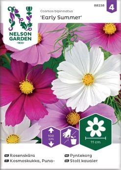 Nelson Garden Siemen Kosmoskukka, Puna-, Early Summer