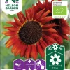 Nelson Garden Siemen Auringonkukka Velvet Queen, Luomu -Piha myymälä 8lXfcwgRqqo9ch7JjWrTYn