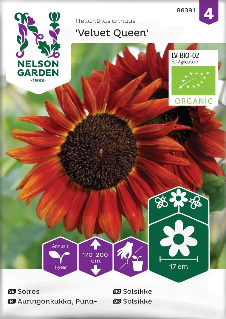 Nelson Garden Siemen Auringonkukka Velvet Queen, Luomu 3 Nelson Garden Siemen Auringonkukka Velvet Queen, Luomu