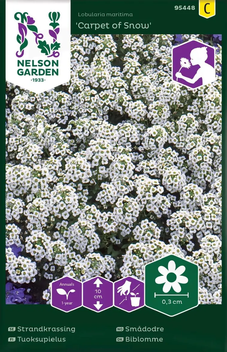 Nelson Garden Siemen Tuoksupielus, Carpet Of Snow 3 Nelson Garden Siemen Tuoksupielus, Carpet Of Snow