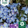 Nelson Garden Siemen Lemmikki, Puisto-, 1 Nelson Garden Siemen Lemmikki, Puisto-, -Piha myymälä 95cha9MZatLAgEIu3sz846