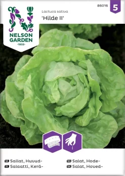 Nelson Garden Siemen Salaatti, Kerä-, Hilde II, Kylvönauha