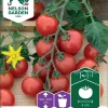 Nelson Garden Siemen Tomaatti, Kirsikka-, Gardener´s Delight -Piha myymälä 9C lNpTWKZ1A187ilL1ad9