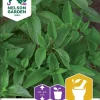 Nelson Garden Siemen Basilika, Sitruuna-, Lemon Scent 1 Nelson Garden Siemen Basilika, Sitruuna-, Lemon Scent -Piha myymälä 9JmPhaE KhE9a3v0wQtJcP