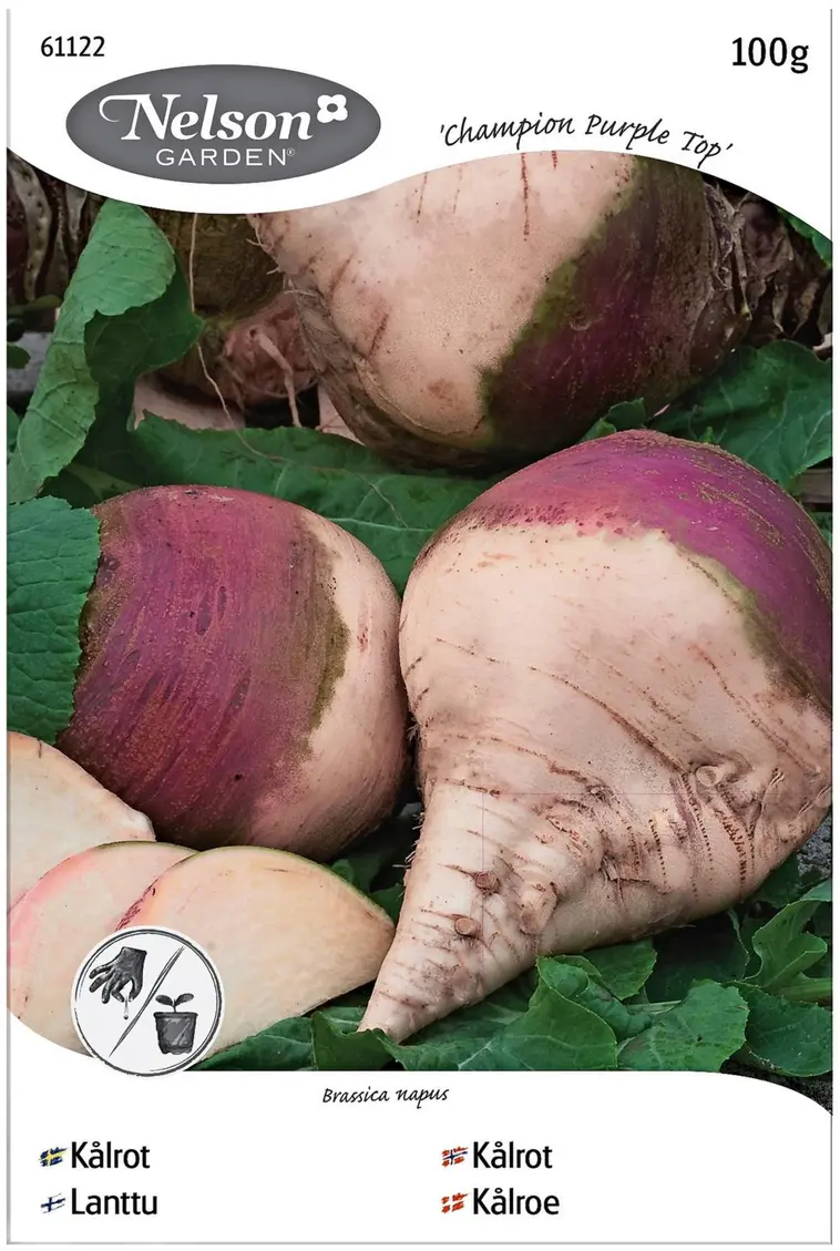 Nelson Garden Siemen Lanttu, Champion Purple Top 100 G 3 Nelson Garden Siemen Lanttu, Champion Purple Top 100 G