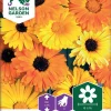 Nelson Garden Siemen Kehäkukka, Tarha-, Daisy Citrus Mix -Piha myymälä 9fG5kW3BqAzA0EBtY9eNrt