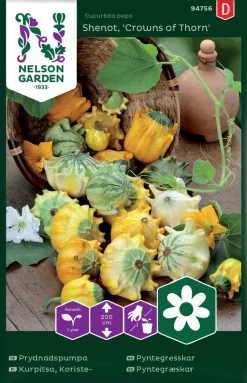 Nelson Garden Siemen Kurpitsa, Koriste-, Crowns Of Thorn